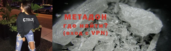 прущие грибы Балабаново