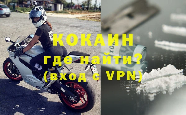 прущие грибы Балабаново