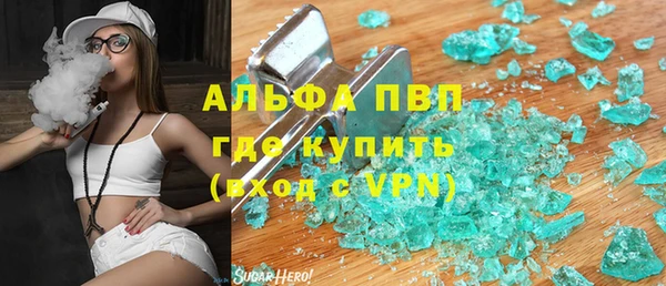 прущие грибы Балабаново