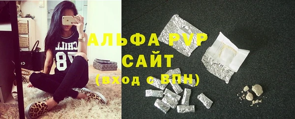 прущие грибы Балабаново
