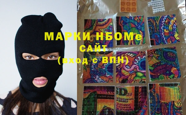 прущие грибы Балабаново